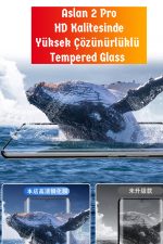 Aslan 2 Pro Redmi Note 13 Pro Plus uyumlu Ekran Koruyucu Kavisli Temperli Cam - Görsel 2