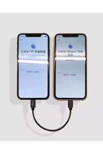 Iphone Ipad Lightning To Lightning Otg Ios Veri Taşıma Yedekleme Kablosu Host Adaptör Senkronize - Görsel 2