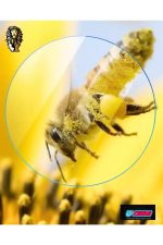 Iphone 13promax Kamera Lens Koruyucu Cam Yuvarlak Lazer Kesim Cam Yekpare Uyumlu - Görsel 7